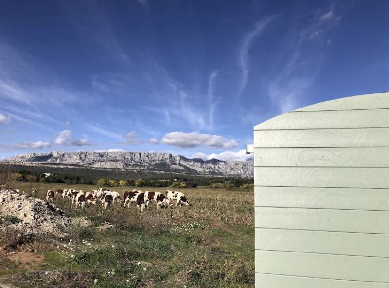 Vivre dans le Sud de la France, c’est avoir l’honneur de prendre une photo de l’un de nos volets CTBX au milieu des vaches ! ;)