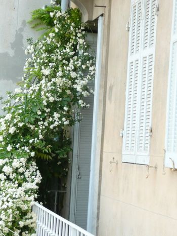 Fabricants de volets persiennes en bois à Marseille rue Paradis