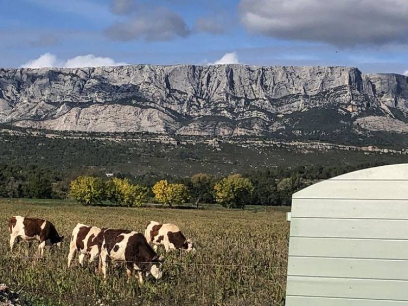 Volets CTBX Okoumé du Gabon pour une villa au pied de la St Victoire 