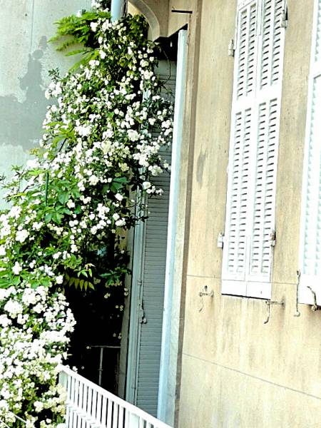 Conception de volet persiennes bois posés à St Tropez